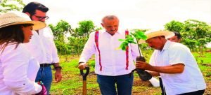 El gobernador Carlos Manuel Merino encabezó la Tercera Jornada Nacional de Siembra
