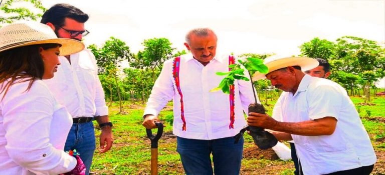 El gobernador Carlos Manuel Merino encabezó la Tercera Jornada Nacional de Siembra