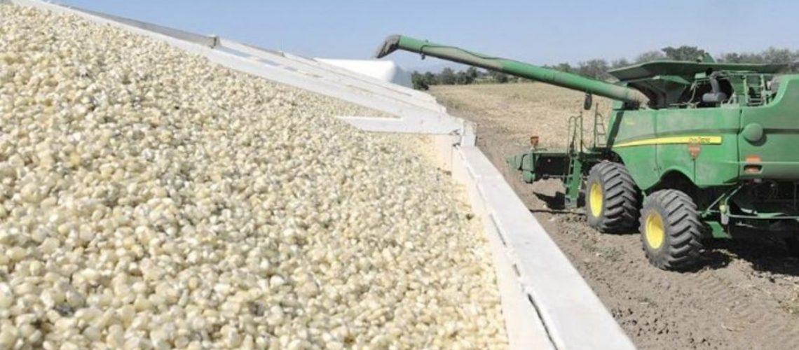 Garantiza SEGALMEX más de 21 mil toneladas de maíz para Tabasco