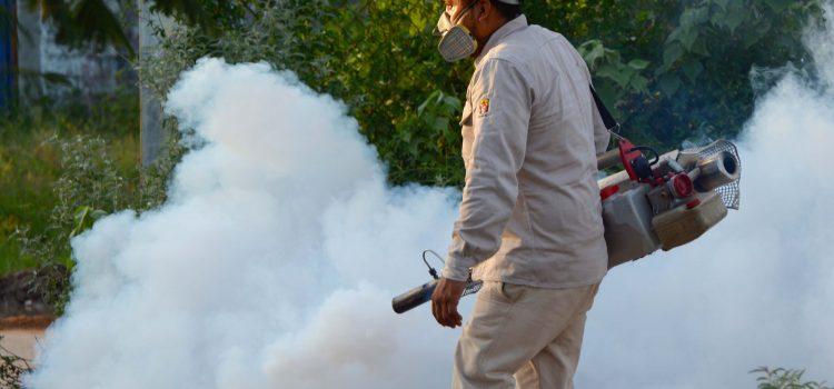 Tabasco con más de 400 casos de dengue; segundo lugar a nivel nacional