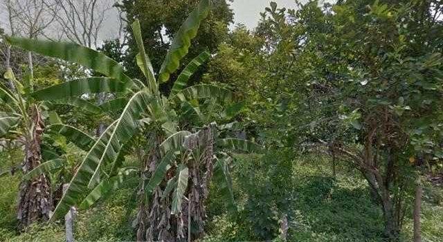Mil 400 campesinos de Nacajuca podrían ser desalojados de sus tierras