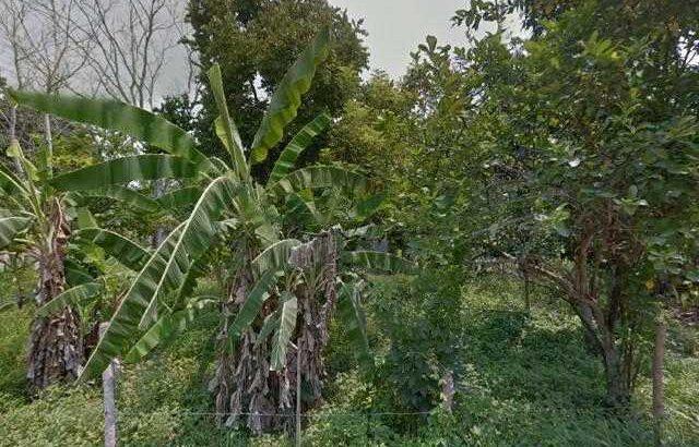 Mil 400 campesinos de Nacajuca podrían ser desalojados de sus tierras