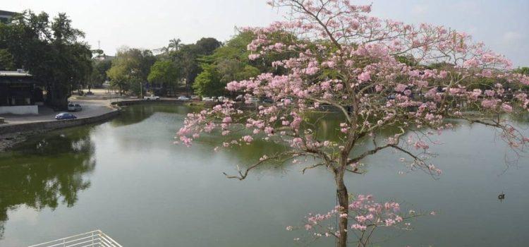 En Tabasco se espera ambiente cálido durante el día