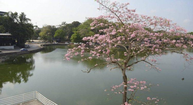 En Tabasco se espera ambiente cálido durante el día