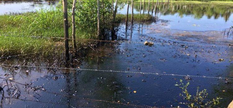 Derrame de hidrocarburo provoca daños severos en tierras de Tabasco