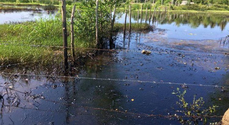 Derrame de hidrocarburo provoca daños severos en tierras de Tabasco