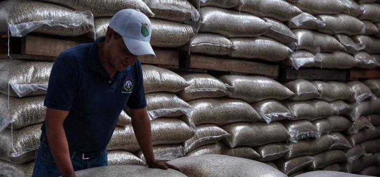 En febrero operarán 13 centros de acopio Segalmex en Tabasco
