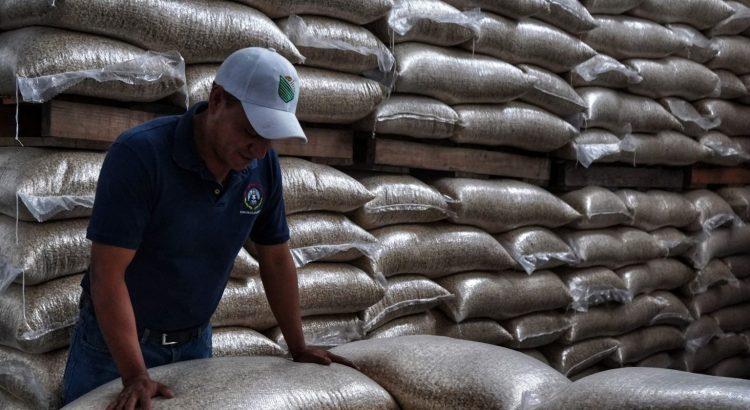 En febrero operarán 13 centros de acopio Segalmex en Tabasco