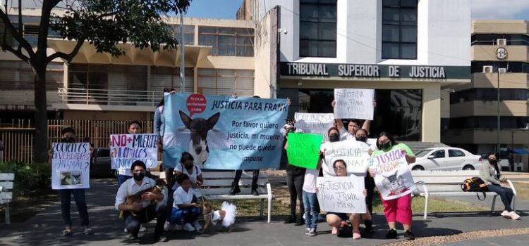 Realizan marcha pacífica contra el maltrato animal en Tabasco