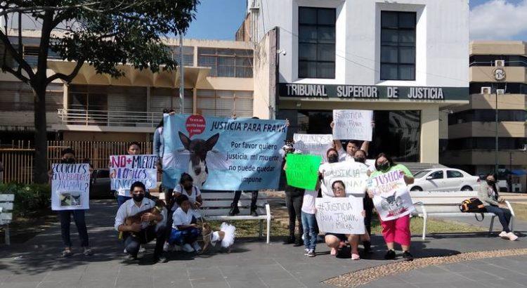 Realizan marcha pacífica contra el maltrato animal en Tabasco