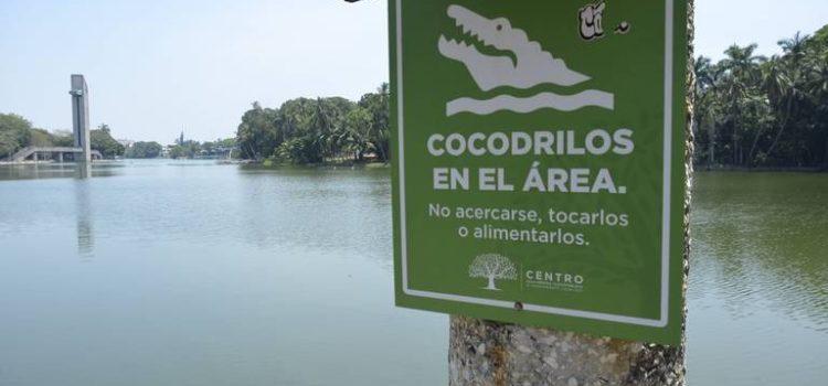 Señaléticas en lagunas de Villahermosa buscan prevenir sobre los cocodrilos