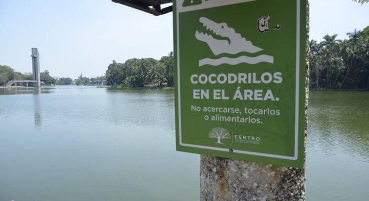 Señaléticas en lagunas de Villahermosa buscan prevenir sobre los cocodrilos
