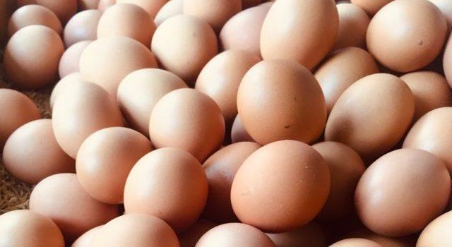 Hasta marzo podría bajar el precio del huevo