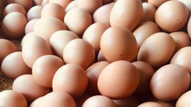 Hasta marzo podría bajar el precio del huevo