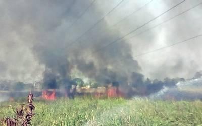 COMESFOR vigilarán con satélite los incendios forestales en Tabasco