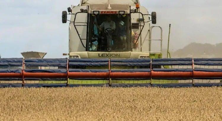 Rusia a favor de ampliar acuerdo sobre cereales de Ucrania