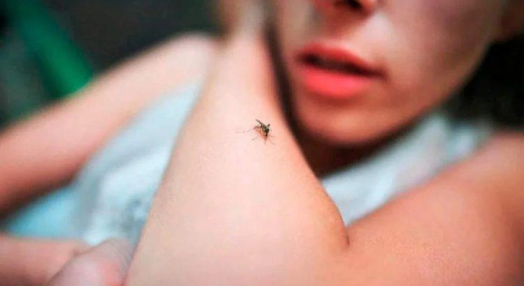 Tabasco es uno de los estados con más casos de paludismo en el país