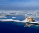 Podría el Ártico perder todo su hielo
