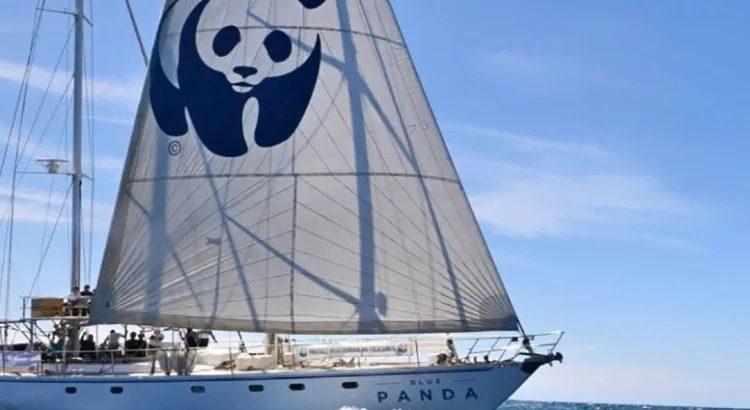 Prohíbe Rusia las actividades de WWF