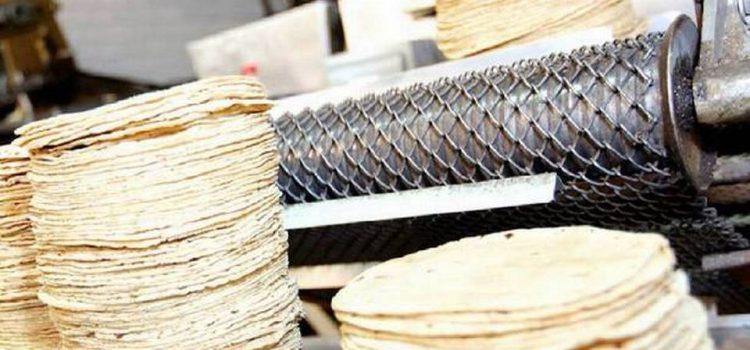 Podrá subir nuevamente el precio de la tortilla en Tabasco