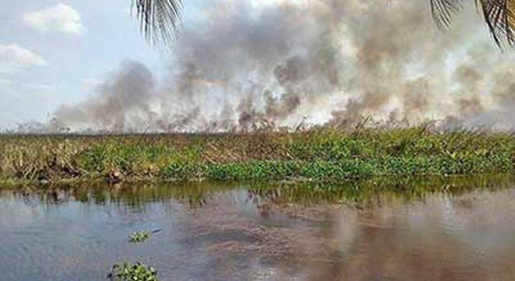 Pantanos de Centla han sufrido una deforestación de 95%