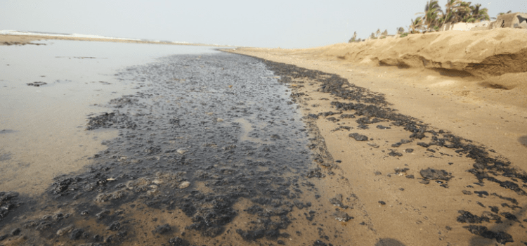 Las manchas de aceite crudo en Tabasco podría venir de un derrame sin detectar: Greenpeace
