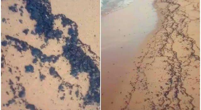Pescadores y habitantes de Tabasco denuncian derrame de hidrocarburo