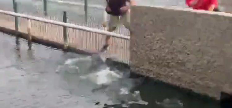 Turista casi es mordido por un cocodrilo en Villahermosa