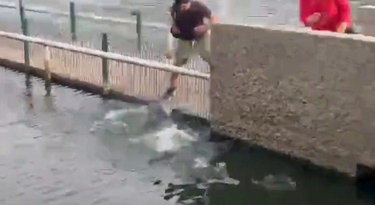 Turista casi es mordido por un cocodrilo en Villahermosa
