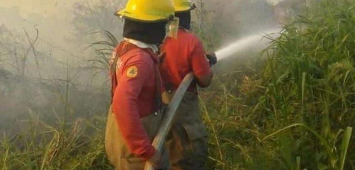 Protección Civil de Tabasco sofocó un incendio en la Laguna El Negro