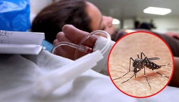 Tabasco se encuentra entre los 10 estados con más casos de dengue en México