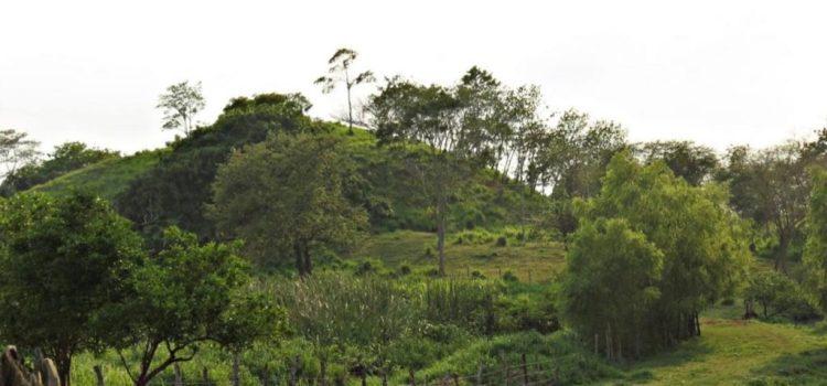 Villahermosa: Cerrito de la Guadalupe Borja podría ser una pirámide