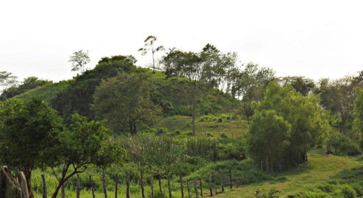 Villahermosa: Cerrito de la Guadalupe Borja podría ser una pirámide