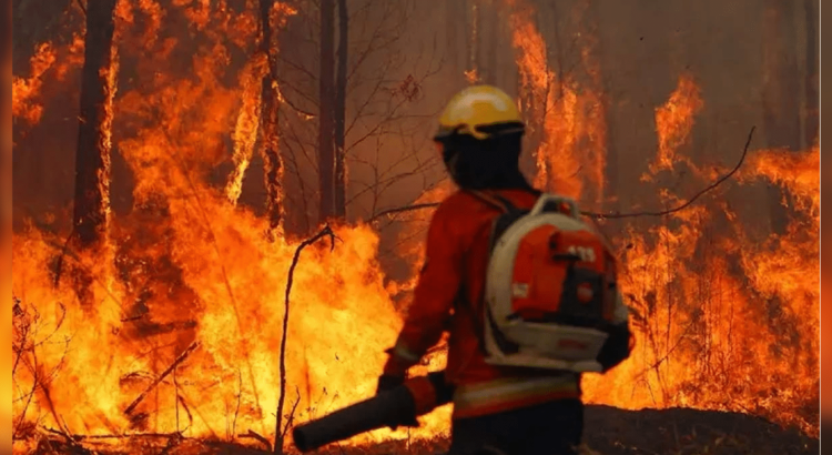 Bolivia enfrenta una emergencia nacional por incendios forestales: una crisis agravada por la sequía