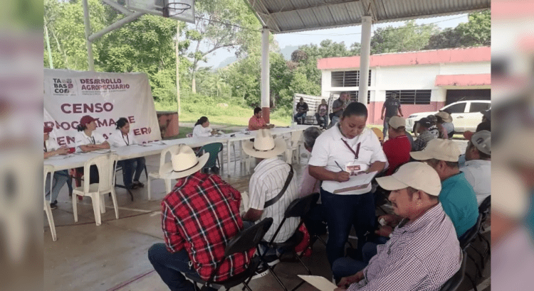 Sedafop avanza en el censo para crédito de más 24 mil productores