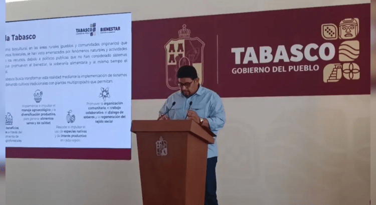 Más 32 mil aspirantes tienen pre-registro del programa ‘Sembrando Vida Tabasco’