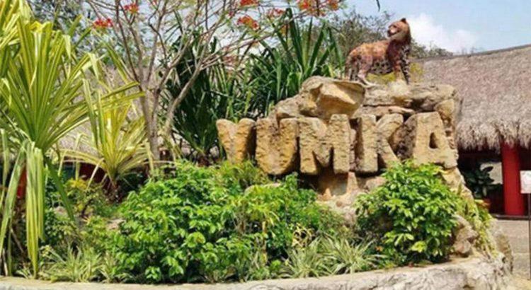 Sexenio de Merino dejó 286 animales muertos en zoológicos de Tabasco