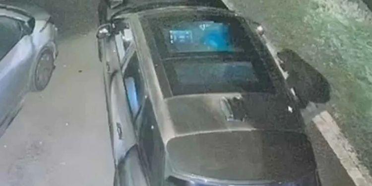 Se robaron un auto «imposible de robar»