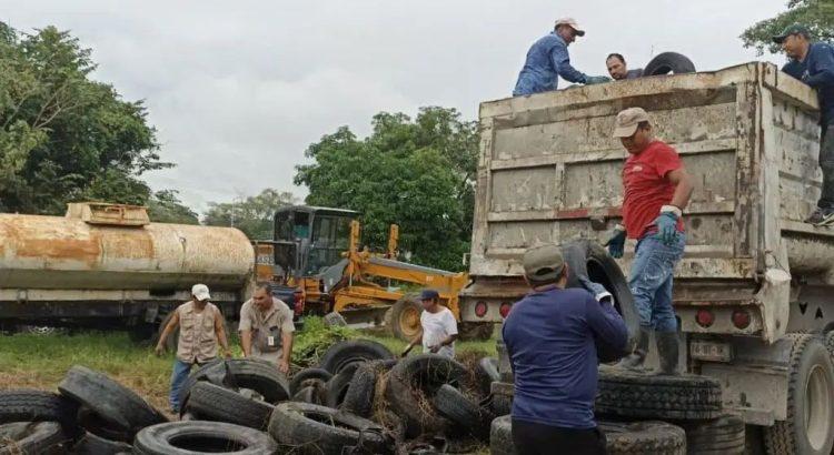 Salud mantiene destrucción masiva de llantas para prevenir el dengue en Tabasco