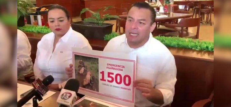 Urge Comisión especial para atender crisis ganadera en Tabasco: Erubiel Alonso
