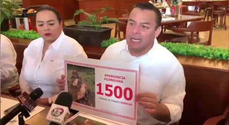 Urge Comisión especial para atender crisis ganadera en Tabasco: Erubiel Alonso