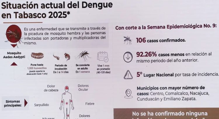 Confirma Salud 106 casos de dengue en Tabasco