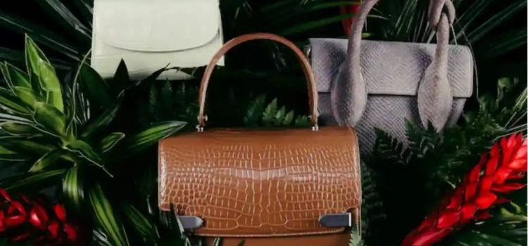 Tu próxima bolsa de lujo podría estar hecha de piel de … dinosaurio