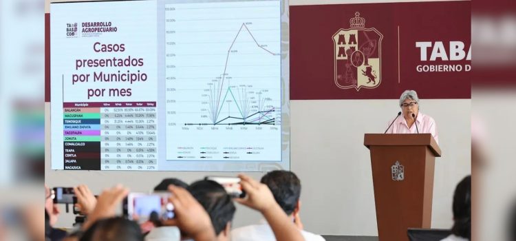 Gusano barrenador a la baja en Tabasco, informa Sedap