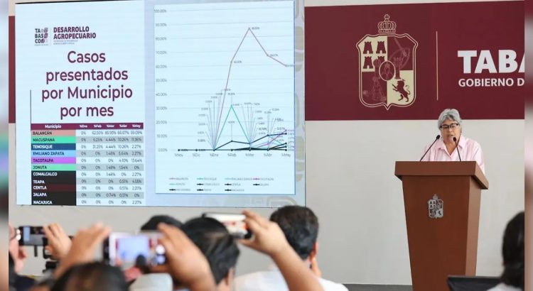 Gusano barrenador a la baja en Tabasco, informa Sedap