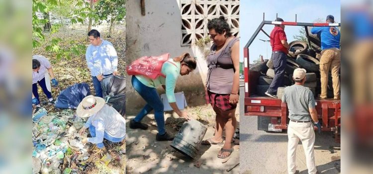 Disminuyen casos de dengue en Tabasco