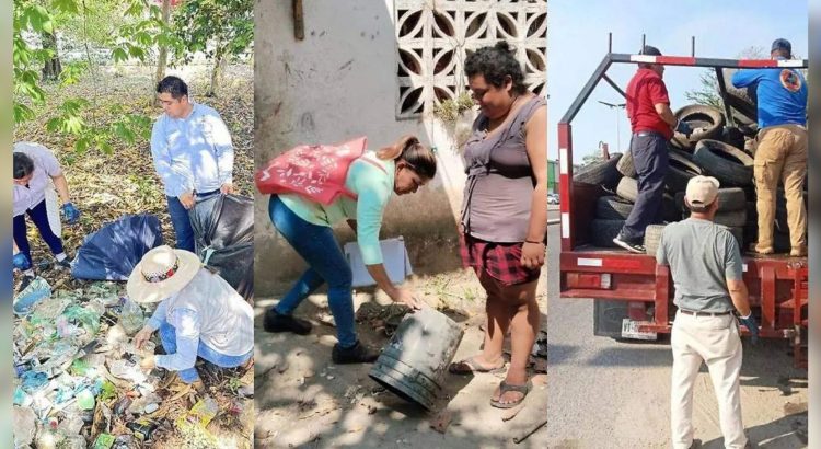 Disminuyen casos de dengue en Tabasco