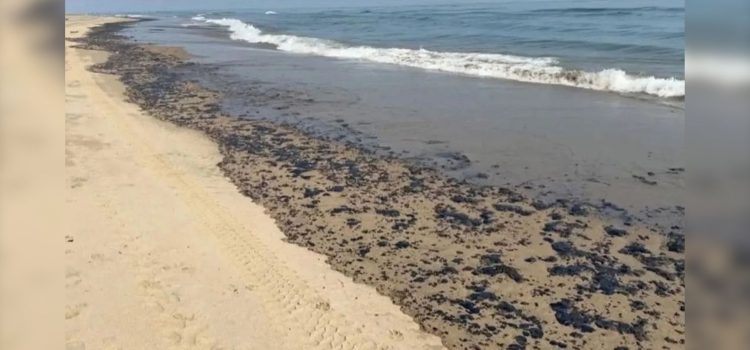 Bandera negra en Tabasco por derrame de hidrocarburo Bandera negra en Tabasco por derrame de hidrocarburo
