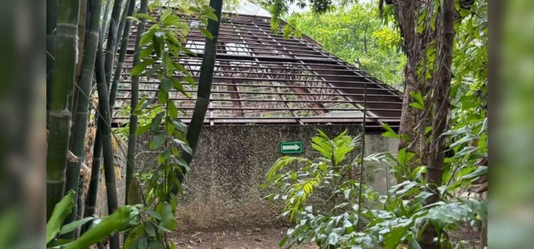 Tabasco tiene 506 espacios que no han sido inscritos como patrimonio cultural del Estado: CAT Tabasco tiene 506 espacios que no han sido inscritos como patrimonio cultural del Estado: CAT