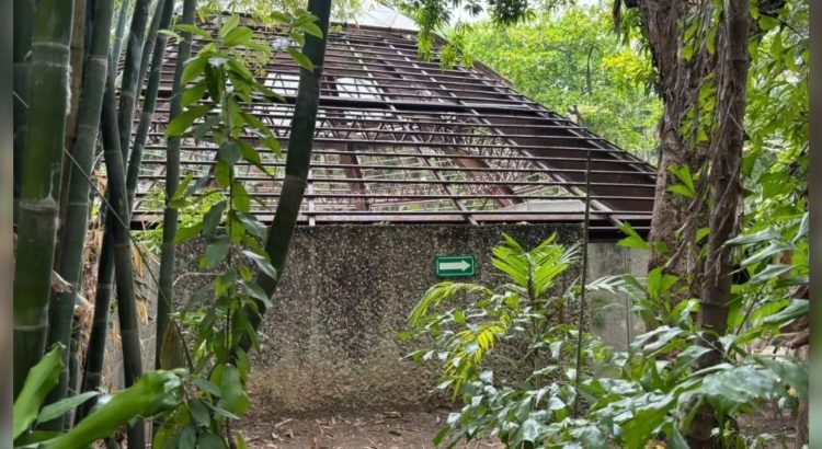 Tabasco tiene 506 espacios que no han sido inscritos como patrimonio cultural del Estado: CAT